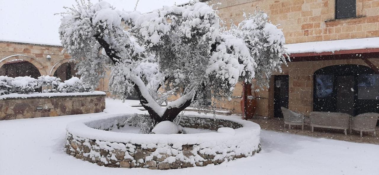 Masseria San Nicola B&B トッレ・サンタ・スザンナ エクステリア 写真