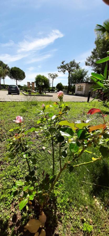 Masseria San Nicola B&B トッレ・サンタ・スザンナ エクステリア 写真