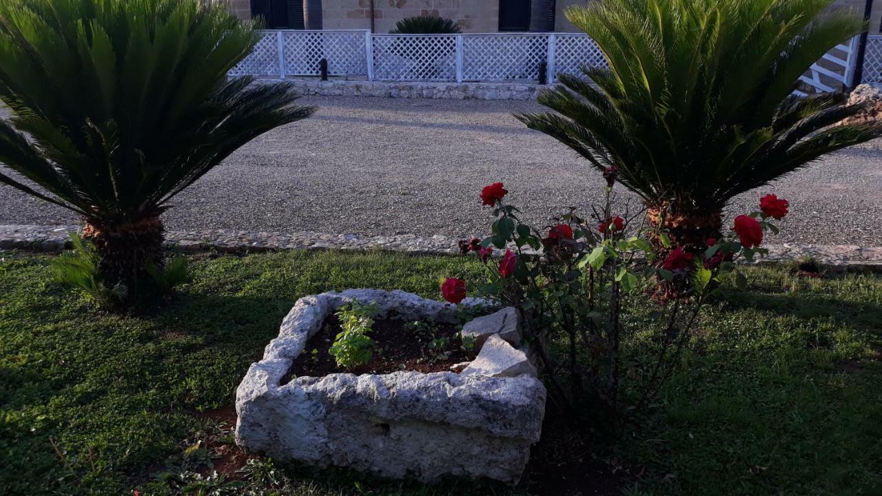 Masseria San Nicola B&B トッレ・サンタ・スザンナ エクステリア 写真
